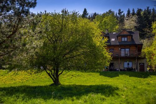 a tree in front of a house in a field at Barnilka House Klimkówka in Klimkówka