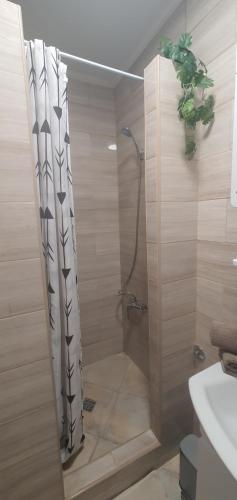 a bathroom with a shower and a sink at Apartman Katić 2 in Odžak