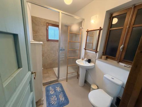 a bathroom with a shower and a toilet and a sink at La Maison d'Amélie à Arnac-Pompadour in Arnac-Pompadour
