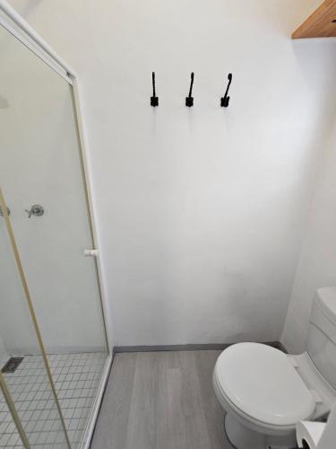 a bathroom with a toilet and a shower at Heide Cottage in Struisbaai