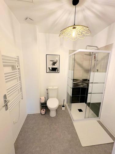 a bathroom with a toilet and a chandelier at Studio Prestige, Cocon de Charme & Confort in Saint-Quentin