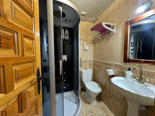 a bathroom with a shower and a toilet and a sink at De Sol A Sol in Hornillos del Camino