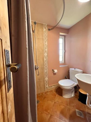 a bathroom with a toilet and a sink at Garys Old Farmhouse in Kamária