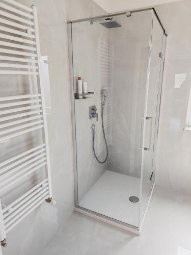 a shower with a glass door in a bathroom at Vista OLIVO in Brtonigla