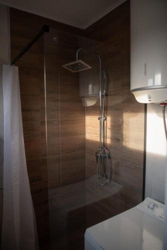 a shower in a bathroom with a wooden wall at Apartman VALE in Županja
