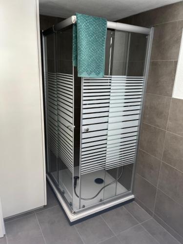 a shower with a glass enclosure in a bathroom at Appartement entier dans chalet traditionnel in Bratsch