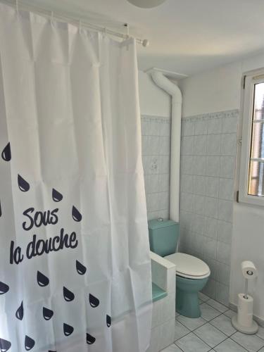 a bathroom with a toilet and a shower curtain at Le repaire des Manalas in Ingersheim