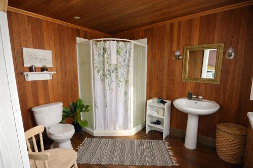 a bathroom with a toilet and a sink at Gite de la Baie Hatée in Bic