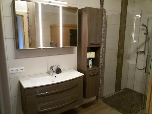 a bathroom with a sink and a shower with a mirror at Klenig Hof in Rangersdorf