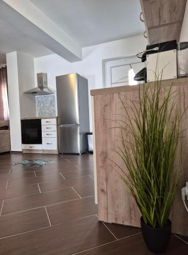 Apartman Nikol