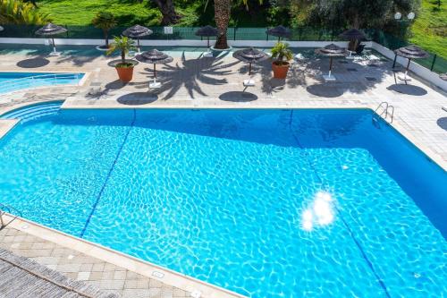 #319 Cozy T1 Apartment Pool & Relaxation