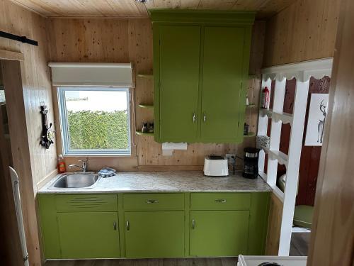 a green kitchen with a sink and a window at Chalet memphrémagog - 203 in Magog-Orford