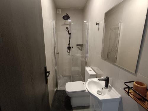 a bathroom with a shower and a toilet and a sink at MORLAK - Guest House - Restaurant - Gated parking in Polača