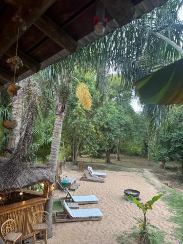 a beach with lounge chairs and a palm tree at Cabañas Allende Delta in Tigre
