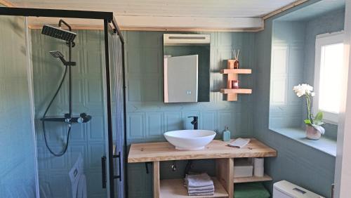 a bathroom with a sink and a shower at Ola Linda - Casa de Campo - in Castelo de Vide