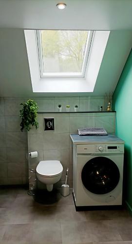 a bathroom with a toilet and a window at L'Échappée en Sandales in La Gacilly