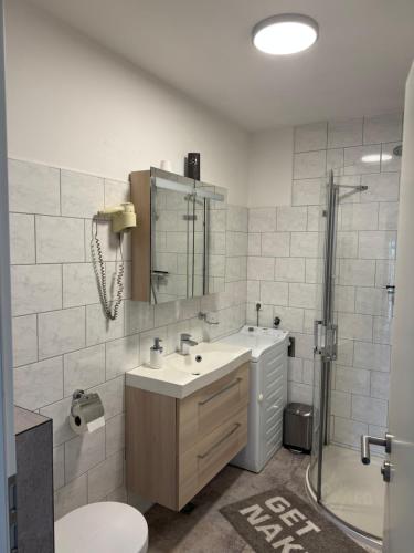 a bathroom with a sink and a toilet and a shower at Hellwig Ferienwohnung 5 in Bernburg