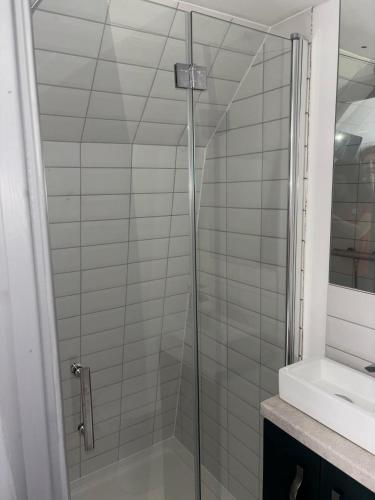 a shower with a glass door next to a sink at The Orkney Pod in Stromness