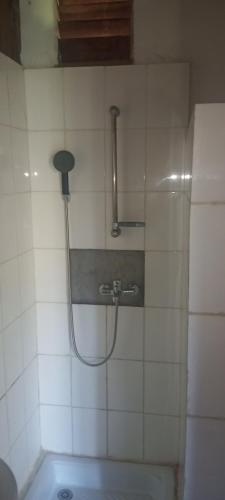 a shower in a tiled bathroom with a sink at Bungalow Frédéric in Hell-Ville