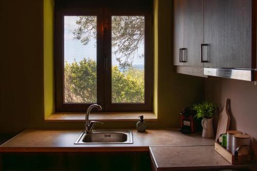 a kitchen with a sink and a window at Oliva Mare II in Agia Fotia
