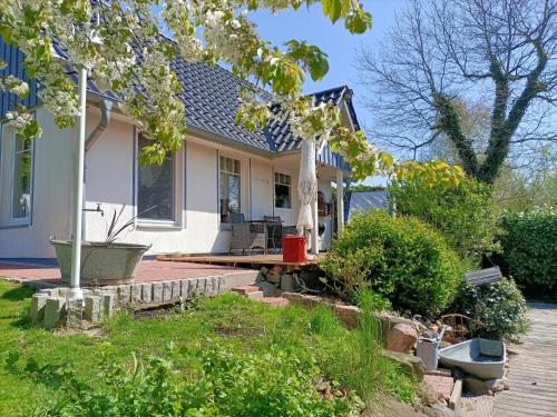 Gallery image of Elbmündung Otterndorf Ferienhaus Medemkate in Neuenkirchen