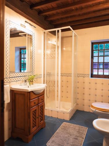 a bathroom with a shower and a sink at Quinta de Segade in Santa Marta