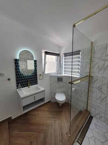 a bathroom with a toilet and a sink and a shower at Vila Didi, Mangalia in Mangalia