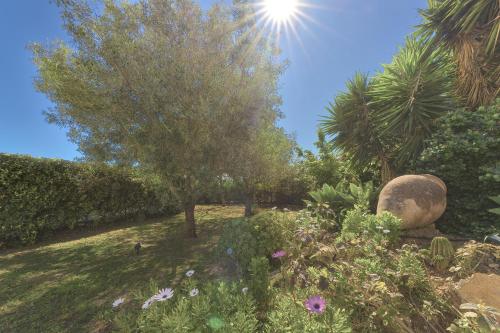 a garden with a tree and some bushes and flowers at Can Juanito in Playa d'en Bossa