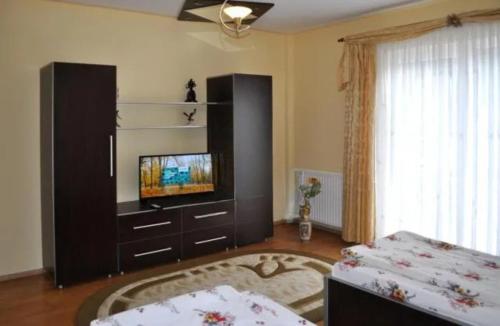a living room with a television in a cabinet at Casa Denis in Cristian