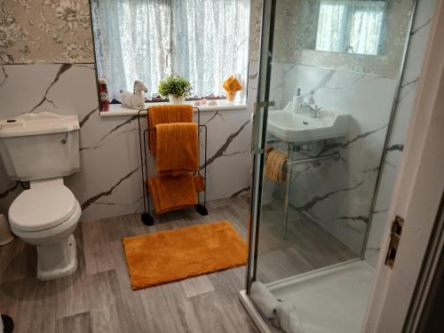a bathroom with a shower and a toilet and a sink at Heskin Farm in Burscough