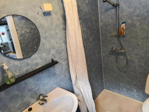 a bathroom with a sink and a shower with a mirror at Flintegården Kårhus in Borgund