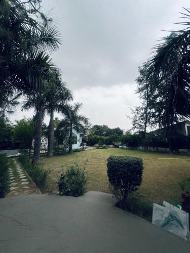 a large yard with palm trees and a driveway at CASA NOVA Villa in Noida