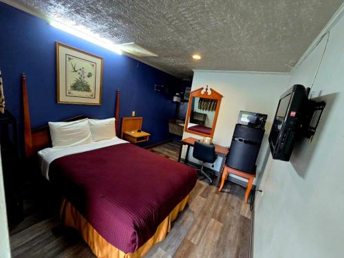 a bedroom with a bed and a tv in it at Chek Inn Motel Rockingham NC in Rockingham