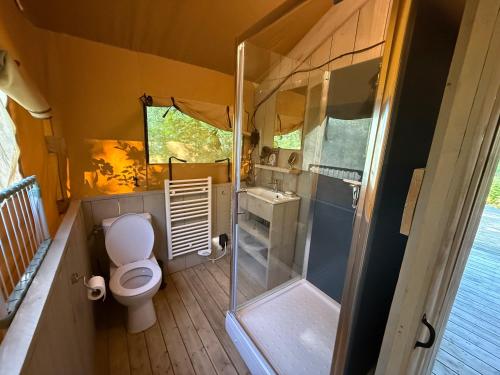 a small bathroom with a toilet and a shower at The Love Nest in Heelweg