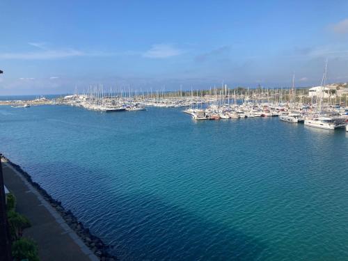 Vue magnifique sur le port