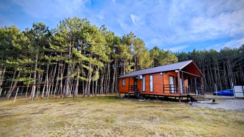 a small cabin in the middle of a forest at Pinewood Surami in Surami