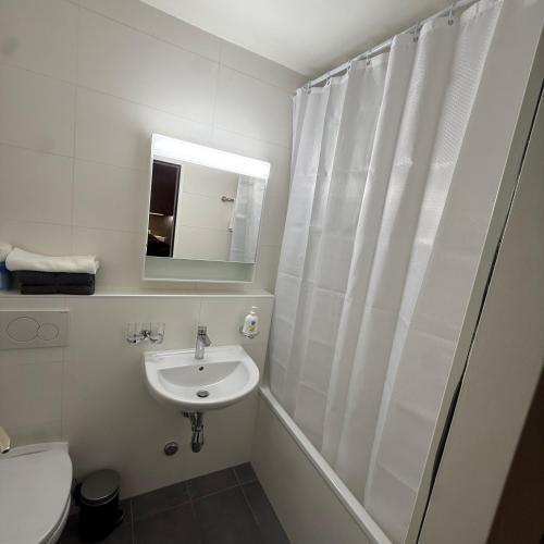 a bathroom with a sink and a toilet and a mirror at Flor- Sakura Gare Lausanne in Lausanne