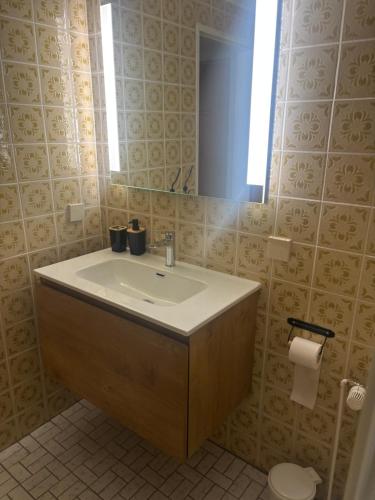 a bathroom with a sink and a mirror at Haus Annemiek in Winterberg