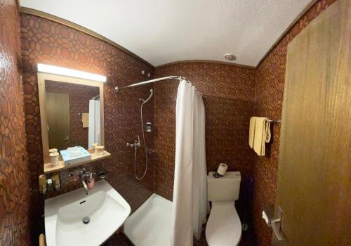 a bathroom with a shower and a toilet and a sink at Gasthof Tenne - Ferie mit Härz in Lenk