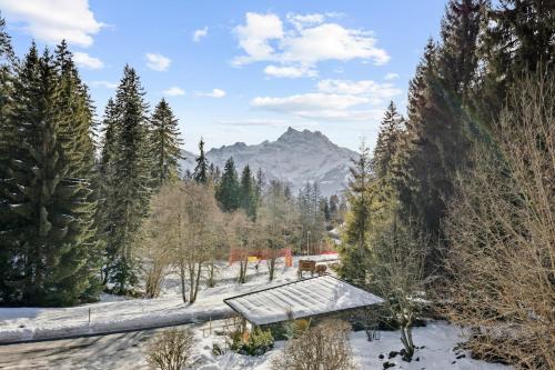 Alpine Family Duplex with amazing terrace