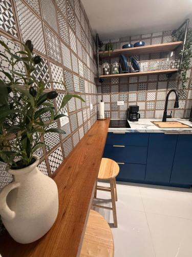 a kitchen with blue cabinets and a vase with a plant at Gibertino by Cinque Terre in Isabela