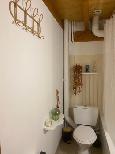 a bathroom with a white toilet in a room at Le cosy d Asmae in Ustou