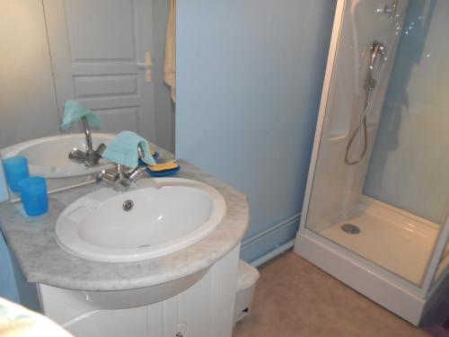 a bathroom with a sink and a shower at Gîte La Lieutenance in Saint-Pourçain-sur-Sioule