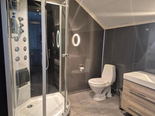 a bathroom with a shower and a toilet and a sink at Molden Sky - takterrasse med egen jacuzzi! in Luster