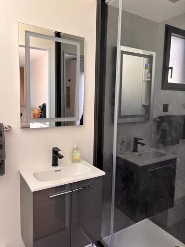 a bathroom with a sink and a shower at La parenthèse boisée in La Chapelle-en-Serval