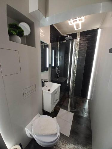 a white bathroom with a toilet and a shower at MonDa apartman in Salgótarján
