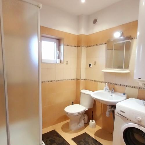 a bathroom with a toilet and a sink at Wypoczynek Kocia Góra in Dziemiany