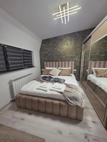 a bedroom with a large bed and a large mirror at Casa Florescu in Craiova