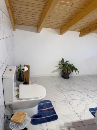 a bathroom with a toilet and a wooden ceiling at Casa da Quinta in Estreito da Calheta
