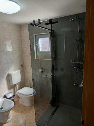 a bathroom with a shower and a toilet and a sink at Apartment D&M in Premantura